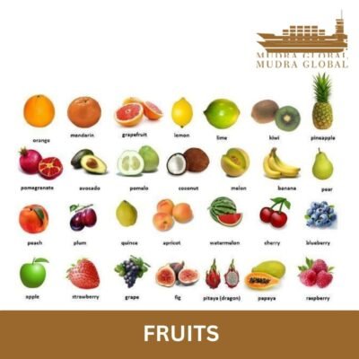 mudra-global-11-400x400